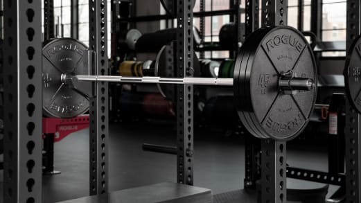 Rogue THE STUMP バーベルシャフト 30LB Rogue 29mm Stump Bar - Stainless / Black | Rogue Fitness
